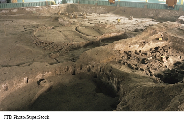 Which feature of the remains of the Neolithic-era Village at Banpo, pictured in Global Viewpoints, is indicative of this community's sedentary nature?   A)  The close proximity of the pits in relation to one another B)  The uneven depth of the pits C)  The relatively small number of pits D)  The existence of storage pits