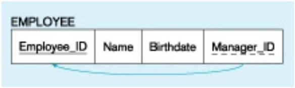 In the figure below, what type of key is depicted?   A)  Primary B)  Recursive primary C)  Composite D)  Recursive foreign