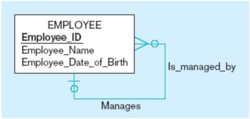 In the figure below, each employee has exactly one manager.  