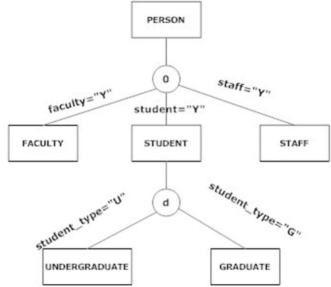 The following figure shows a:   A)  disjoint constraint. B)  completeness constraint. C)  supertype/subtype hierarchy. D)  spindle constraint.