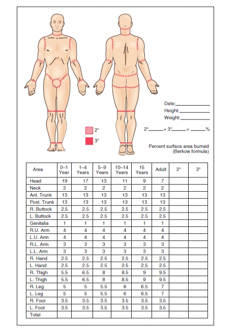 An adult patient received burns over both upper and lower arms, both hands, anterior upper and lower legs, anterior chest, and the neck. Using the following as a guide, what is this patient's total body surface percentage of area burned?   Text Figure 51.8<div style=padding-top: 35px> 