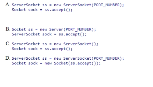 Which code creates a server socket on port PORT_NUMBER and listens for a connection?