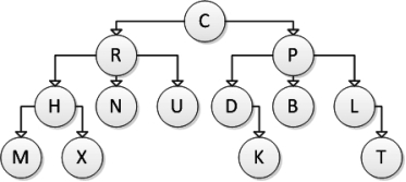 Consider the following tree diagram:   Which of the following nodes are interior nodes?  A) C, N, and P B) B C) C and P D) N