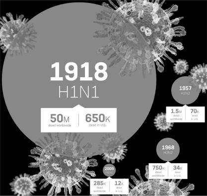 Since 1900,at least ________ people worldwide have died as a result of an H1N1 influenza infection.   A)  50,000,000 B)  50,285,000 C)  650,000 D)  52,535,000