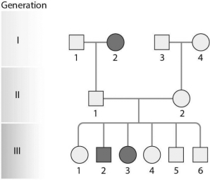 If the male in generation II of the figure below was affected,what would the pattern of inheritance MOST likely be?   A)  X-linked recessive B)  X-linked dominant C)  autosomal recessive D)  autosomal dominant