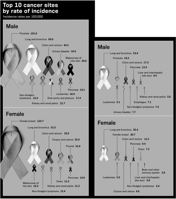 Which of the following statements is supported by the infographic shown below?   A)  Though there is more than double the chance of a female getting breast cancer,it is more likely that a female who has lung and bronchus cancer would die from her disease.Males are almost three times more likely to die from having lung and bronchus cancer than from having prostate cancer. B)  A female is twice as likely to die from thyroid cancer than from uterine cancer. C)  A male is three times more likely to die from non-Hodgkin lymphoma than from having esophageal cancer. D)  Both males and females are four times more likely to die of leukemia than from having pancreatic cancer.