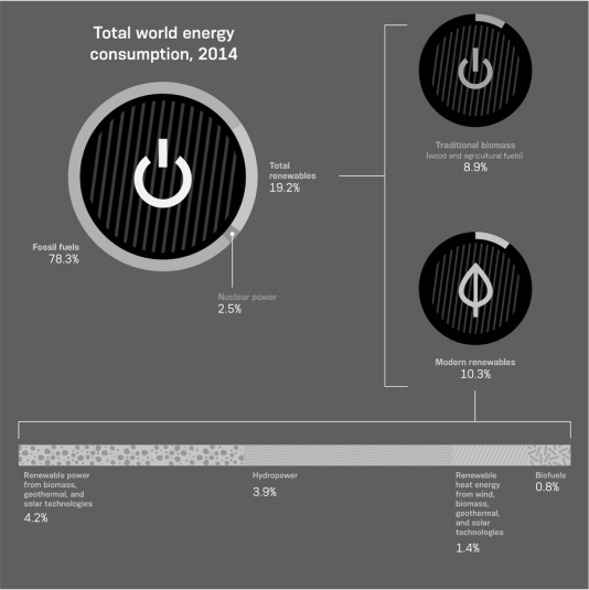 Compare the energy sources shown below that rely on photosynthesis with the energy sources that do not rely directly on photosynthesis.  
