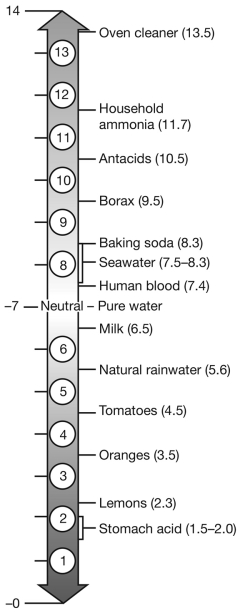 The most basic solution in the figure shown below is   A)  seawater. B)  borax. C)  baking soda. D)  tomatoes.