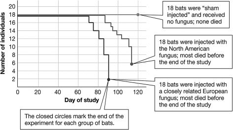 A group of researchers conducted an experiment and collected the data presented in the graph below.The graph shows that the hypothesis was ________ because all members of the control group ________ while most of the members of both treatment groups ________ by the end of the study.   A)  proven beyond a doubt; survived; died B)  proven; survived; died C)  not supported; died; survived D)  supported; survived; died