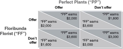 Table 14-7   The payoff matrix shown above assumes that Perfect Plants and Floribunda Florist must decide whether to offer same-day delivery for their products. The matrix shows how much profit each firm will earn if it does or does not offer same-day delivery. The amount of profit for one firm depends on whether the other firm offers same-day delivery. -Refer to Table 14-7. Which of the following statements is true? A)  Neither Perfect nor Floribunda have a dominant strategy. B)  Perfect's dominant strategy is to offer same-day delivery; Floribunda's dominant strategy is to not offer same-day delivery. C)  Floribunda's dominant strategy is to offer same-day delivery; Perfect's dominant strategy is to not offer same-day delivery. D)  The dominant strategy for both firms is to offer same-day delivery.