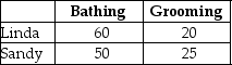 <strong>Table 9-1 Linda and Sandy own The Preppy Puppy, a dog grooming business. Table 9-1 lists the number of dogs Linda and Sandy can each bathe and groom in one week. Refer to Table 9-1. Select the statement that accurately interprets the data in the table.</strong> A) Sandy has a comparative advantage in dog grooming. B) Linda has a comparative advantage in dog grooming. C) Linda has a comparative advantage in dog grooming and dog bathing. D) Sandy has a comparative advantage in dog bathing.