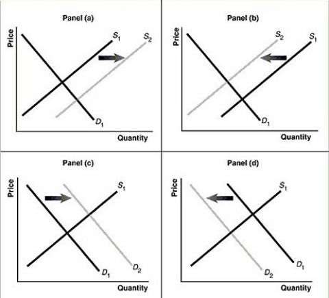 Figure 3-7   -Refer to Figure 3-7. Assume that the graphs in this figure represent the demand and supply curves for used clothing, an inferior good. Which panel describes what happens in this market as a result of a decrease in income? A)  Panel (a)  B)  Panel (b)  C)  Panel (c)  D)  Panel (d) 