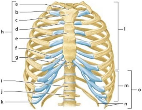 -Identify the Structure Labeled 