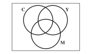 Complete the Venn diagram for the CMYK color scheme.  