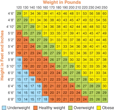 Use the body mass index to determine which number would represent the BMI for a person who is at a healthy weight?   A)  18 B)  24 C)  26 D)  31
