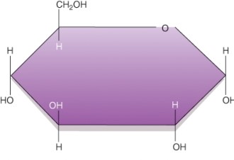 Identify the category of macronutrient from which this molecule is derived during normal conditions.   A)  Protein B)  Lipid C)  Carbohydrate D)  Vitamin