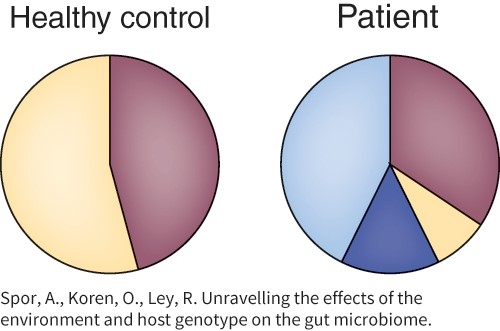 Based on the composition of the GI microbiome in this image, what is wrong with the patient?  