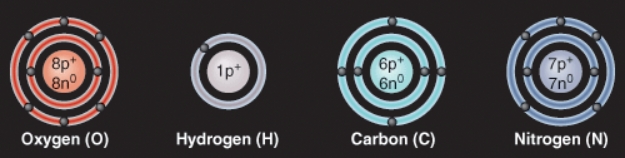 What does the number 6 mean in this diagram?   A)  The weight of a carbon atom B)  The number of protons in a carbon atom C)  The number of electrons in a carbon ion D)  How many bonds carbon will form