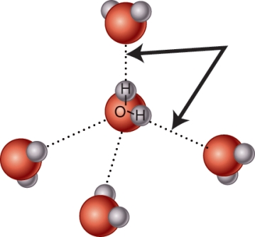 What kind of bond is indicated by the arrow in this diagram?   A)  Covalent B)  Hydrogen C)  Ionic D)  Nonpolar
