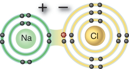 What kind of a bond is depicted in this diagram?   A)  Covalent B)  Hydrogen C)  Ionic D)  Nonpolar