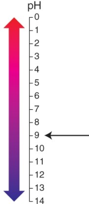 The arrow is pointing to a pH that is:   A)  acidic. B)  neutral. C)  basic. D)  a buffer.