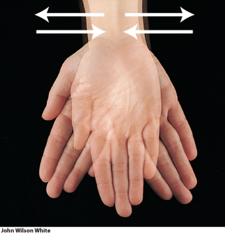 Which type of joint permits this type of movement?   A)  synovial B)  cartilaginous C)  fibrous D)  both synovial and cartilaginous E)  both cartilaginous and fibrous