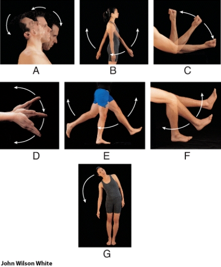 Which of the following shows a movement only seen in the intervertebral joints?   A)  B B)  F C)  G D)  D E)  A