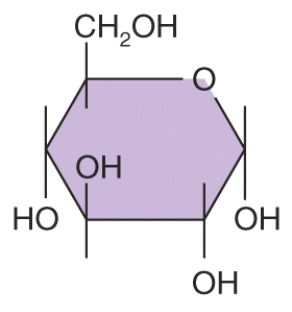 How many carbons are in this structural formula?   A)  1 B)  2 C)  4 D)  6 E)  9