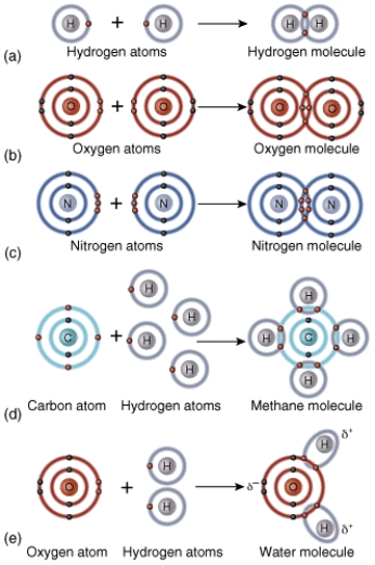 Give a brief description of what rule this diagram represents.  