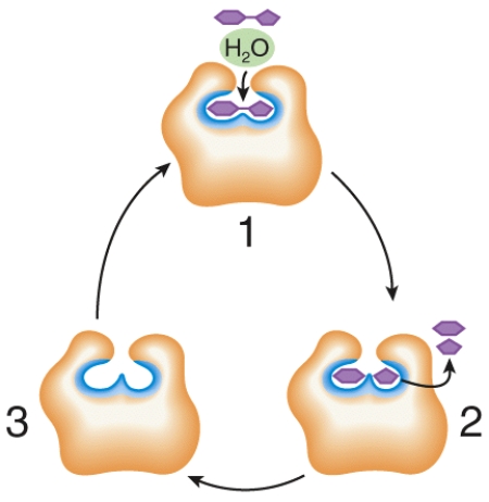Describe what is happening at places 1, 2, and 3 in the figure.  