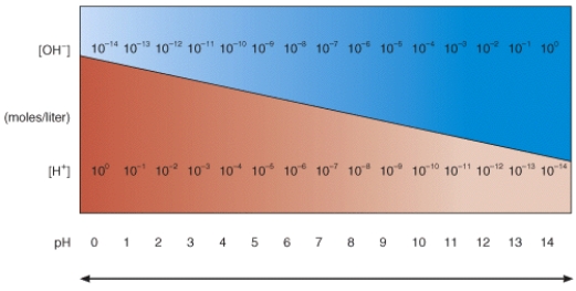 In the diagram, which pH value represents an acidic solution?   A)  12 B)  10 C)  8 D)  6 E)  None of these choices