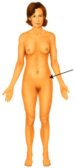 <strong>Which of the following anatomical terms best describes the indicated region?  </strong> A) mental B) popliteal C) antecubital D) olecranal E) coxal <div style=padding-top: 35px> 