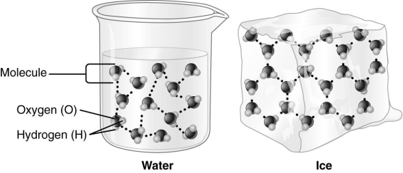   The type of bond indicated by the dotted lines in the accompanying figure is a hydrogen bond.