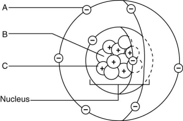 Use the letters from the accompanying figure to answer the following questions.    -Isotopes of this element would differ in the number of ________.