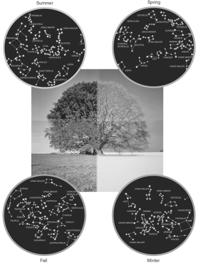 The figure below shows the night sky as it appears to an observer in the United States at the same time of the night but at four different seasons of the year.A reasonable conclusion that can be drawn from these images is that   A)  the stars move about the sky randomly. B)  the stars appear to rotate over the course of a year. C)  the night sky is always the same. D)  there are only four possible configurations of stars in the sky. E)  the position of the stars changes the temperature of the Earth.