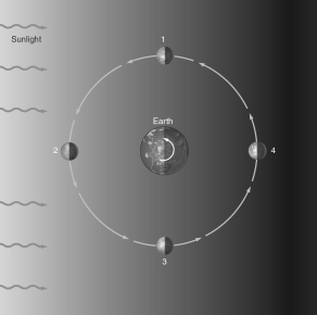 In the figure below, at which position must the Moon be located in order for a solar eclipse to occur?   A)  1 B)  2 C)  3 D)  4 E)  None of these is correct.