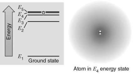 <strong>In the energy level diagram shown in the figure below, the electron is excited to the E<sub>4</sub> energy level.If the electron transitions to an energy level giving off a photon, which level would produce a photon with the largest wavelength? </strong> A) E<sub>1</sub> B) E<sub>2</sub> C) E<sub>3</sub> D) E<sub>4</sub> E) E<sub>5</sub>