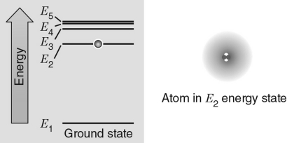<strong>In the energy level diagram shown in the figure below, the electron is excited to the E<sub>2</sub> energy level.If the atom absorbs a photon with the exact wavelength to move the electron to another energy level, which energy level would correspond to the incoming photon with the largest wavelength? </strong> A) E<sub>1</sub> B) E<sub>2</sub> C) E<sub>3</sub> D) E<sub>4</sub> E) E<sub>5</sub>