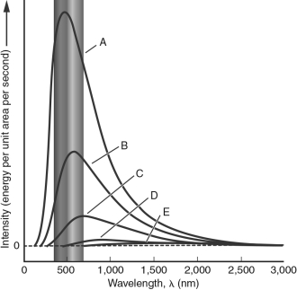 <strong>In the figure below, which blackbody spectrum corresponds to the object with the highest temperature? </strong> A) A B) B C) C D) D E) E