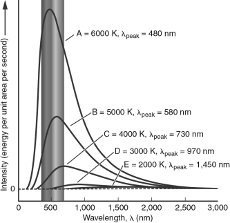<strong>In the figure below, which blackbody spectrum corresponds to the object that would appear white to the human eye? </strong> A) A B) B C) C D) D E) E