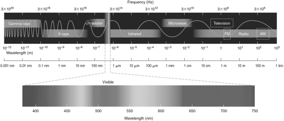 The difference in energy between the n = 2 and n =1 electronic energy levels in the hydrogen atom is 1.6 *10<sup>-18</sup> J.If an electron moves from the n = 1 level to the n=2 level, will a photon be emitted or absorbed? What will its energy be, and what type of electromagnetic radiation is it? Use the electromagnetic spectrum shown in the figure below to answer this question.  