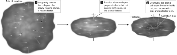 Consider the figure shown below.At which point in time does the collapsing cloud have the greatest angular momentum?   A)  point 1 B)  point 2 C)  point 3 D)  points 1 and 2, because the protostar has not yet formed E)  The cloud has the same angular momentum at each point in time.