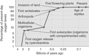 The minimum amount of oxygen in the air required for a human to survive (unaided) is around 16 percent of the current abundance in Earth's atmosphere.Using the figure below, what is the earliest time in Earth's history that a human could breathe unaided?  