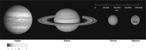 In the figure below, Uranus and Neptune do not have bands as distinct as those on Jupiter and Saturn.This is because Uranus and Neptune   A)  have wind speeds that vary more smoothly with latitude than the winds of Jupiter or Saturn. B)  are composed entirely of hydrogen and helium and lack more complex molecules. C)  are much closer to the Sun and much colder. D)  rotate 10 times slower. E)  have larger masses.
