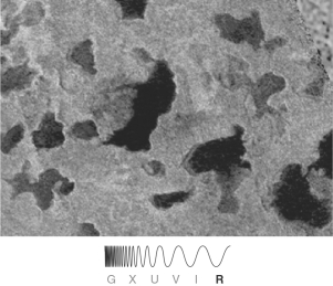 In the figure below showing Titan's surface, reflections off of dark surface features are strong evidence that these features are   A)  dried lava flows. B)  recent impact craters. C)  large sheets of frozen water ice. D)  composed of liquids. E)  a rocky material different from that of the lighter-colored surface.