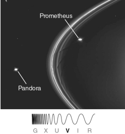 The  kinks  in Saturn's F Ring, shown in the figure below, are caused by   A)  Saturn's magnetic field. B)  the gravitational influence of the two pictured moons. C)  regions of dark dust and rocks in the ice ring. D)  comets or asteroids that had plunged through the rings in the past. E)  proximity to Saturn's Roche limit.