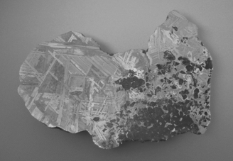 The meteorite in the figure below most likely originated in a(n)    A)  S-type asteroid. B)  C-type asteroid. C)  M-type asteroid. D)  active comet. E)  inactive comet.