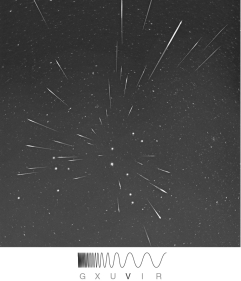 Identify the phenomenon shown in the figure below.   A)  an active comet B)  a meteor shower C)  a meteorite D)  an asteroid E)  zodiacal dust