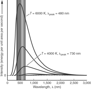 The blackbody spectra of a star with a temperature of 6000 K and a star with a temperature of 4000 K are shown in the figure below.An astronomer uses a telescope to observe each of these two stars in both the blue and red filters.The blue filter is centered at 450 nm, while the red filter is centered at 660 nm.For each of the two stars, indicate through which filter that star will be brighter.Explain your answer.  