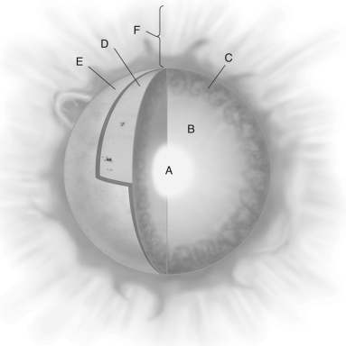 In the figure labeled below, which solar layer is the chromosphere?   A)  A B)  B C)  C D)  D E)  E